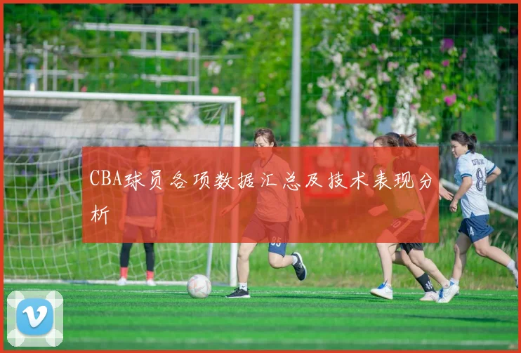 CBA球员各项数据汇总及技术表现分析