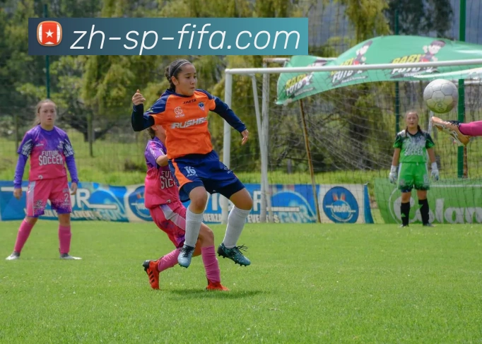 世界杯赛程服务体系