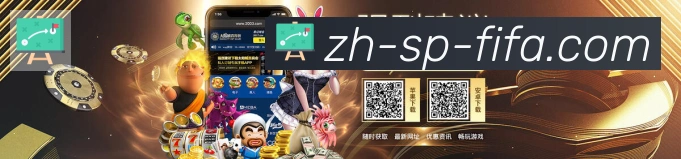 未来规划